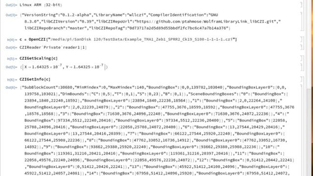 CZIReader for Mathematica on Raspberry Pi in action смотреть онлайн