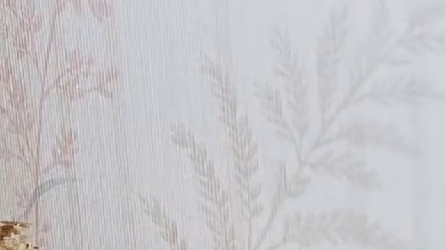 Homeland Security Personnel Relocation Inspections (Whatcom County) King of the House, Inc смотреть онлайн