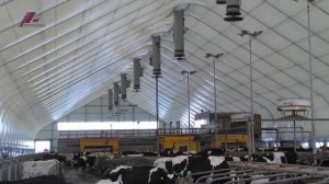 Коровник под ключ. Автоматизация и Реконструкции Коровника | Проект коровника