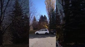 Трускавец, работает ли санаторий Алмаз??