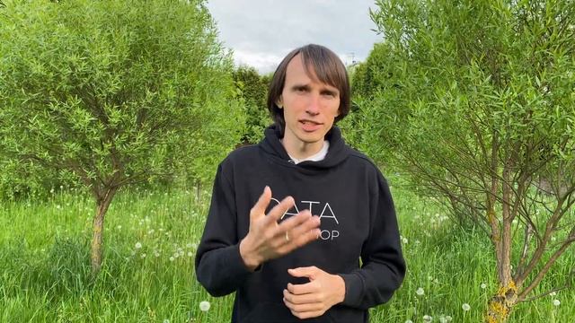 Может ли Data Scientist работать удаленно?