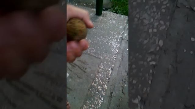 мячик с каштана смотреть онлайн