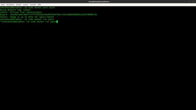 Docker Tutorial #10 - WebApps und Port Mapping смотреть онлайн