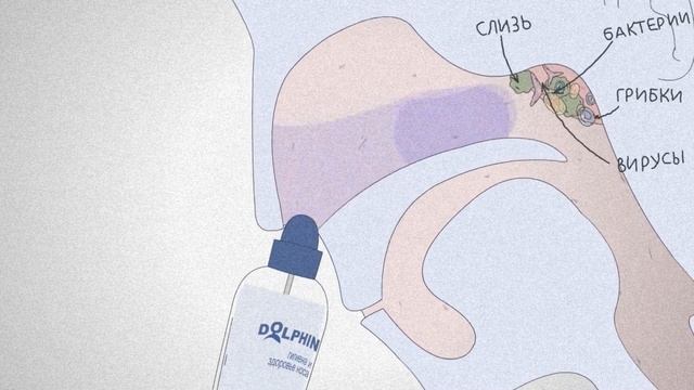 Применение «Долфин»