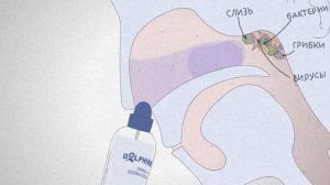 Применение «Долфин»