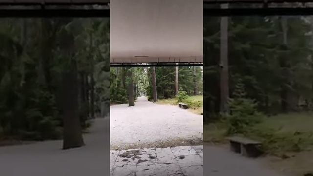 Экскурсия по Лесному кладбищу в Стокгольме (из инстаграма) - прогулка в прямом эфире. Ира Стомберг смотреть онлайн