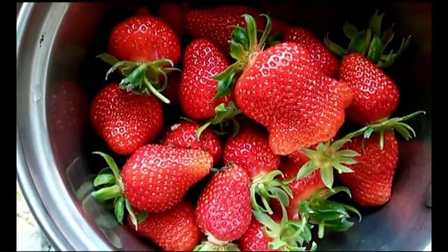 Козы: из топленого творога - вкусняшка. смотреть онлайн