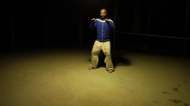 Baji Quan (Long Style) and Red Sand Palm (1) смотреть онлайн