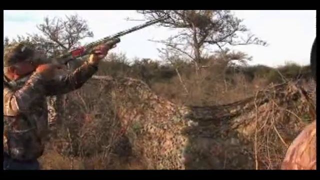 Tom Knapp & Colorado Buck. Wingshooting Argentina ( 2 / 3 ) смотреть онлайн