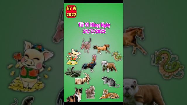 Tử Vi Hàng Ngày 21/7/2022 của 12 Con Giáp #short #tuvihangngay #tuvivanmenh смотреть онлайн