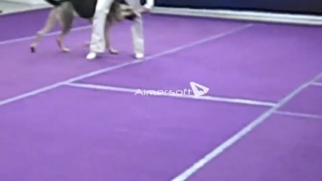 СДП «Ховрино» Анастасия Судакова и МэрроуМира смотреть онлайн