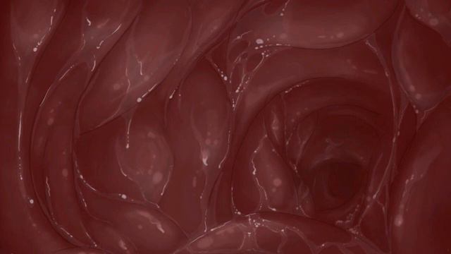 приятные звуки моего живота