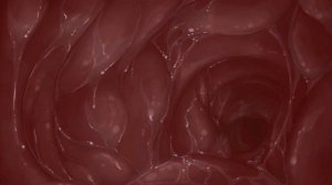 приятные звуки моего живота