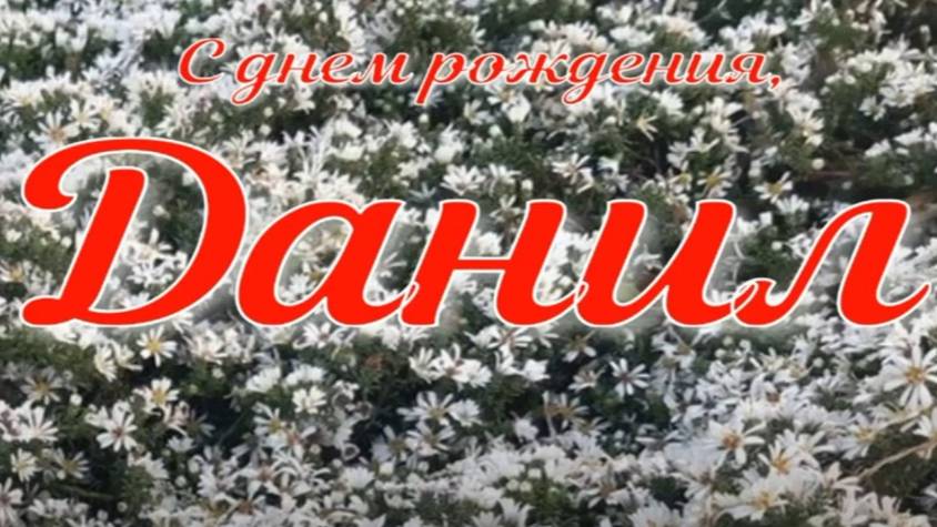 ДАНИЛ, С ДНЕМ РОЖДЕНИЯ смотреть онлайн