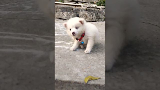 February 21, 2024 смотреть онлайн