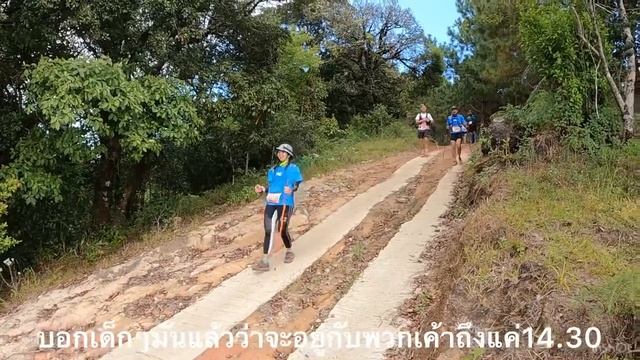 The West Wind Trail 2021 смотреть онлайн