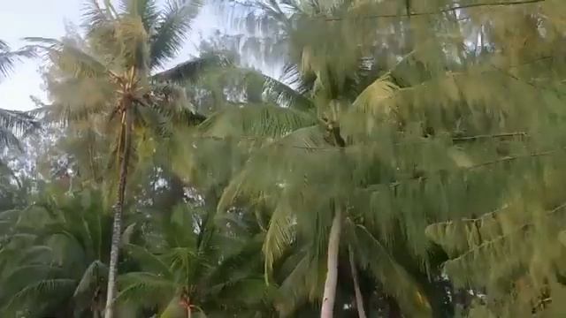 Путешествие к экватору смотреть онлайн