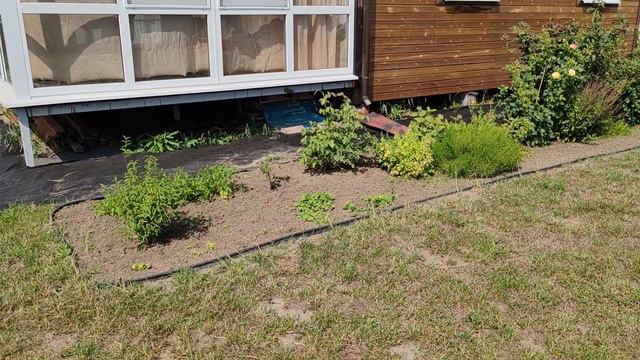 Нет сорнякам