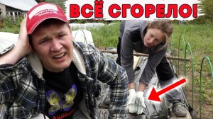 «НАЛОМАЛИ ДРОВ»  ГОРОДСКИЕ БЕЗ ОПЫТА В ДЕРЕВНЕ. ЧТО ДЕЛАТЬ?