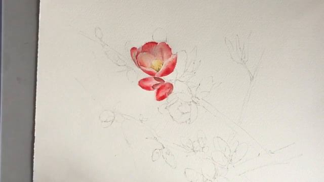 Spring watercolor смотреть онлайн