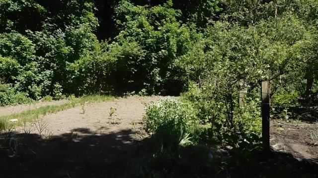 video test nikon s7000 | 1080p | iso 125 | auto focus смотреть онлайн
