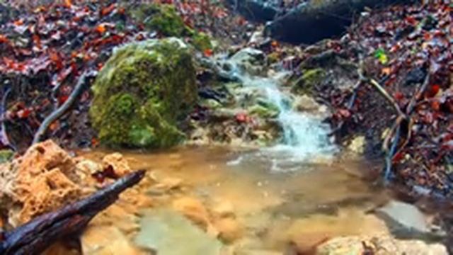 Весенний лесной ручей, Spring forest stream смотреть онлайн