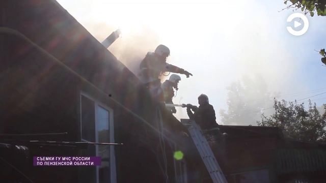 В Пензе из горящего дома удалось спасти котика смотреть онлайн