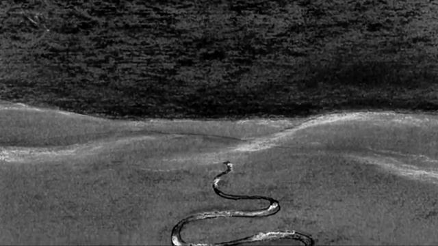 Планета Земля. "Маленький принц" Антуана де Сент Экзюпери смотреть онлайн