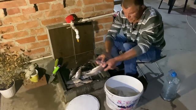 Как посолить рыбу ? Простой и вкусный рецепт! смотреть онлайн