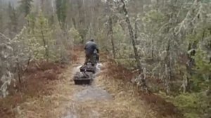 Мотособака БАРС