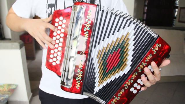 Hohner Panther vs SofiaMari. Prueba de sonido. Acordeón para principiantes. смотреть онлайн