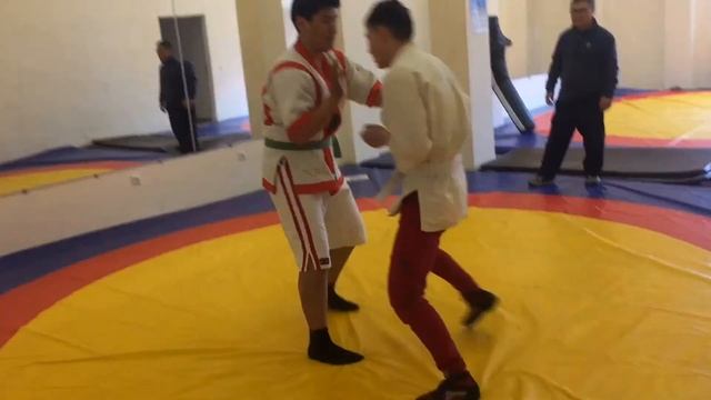 Секция борьбы смотреть онлайн