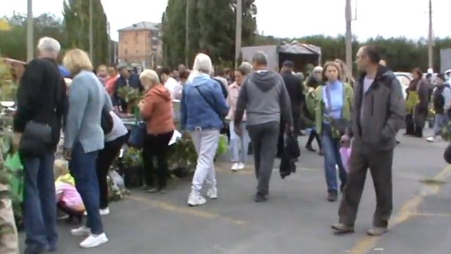 Ярмарка в Новотроицке 17 09 2022 смотреть онлайн