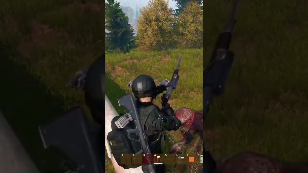 Охота на Химеру - СТАЛКЕР ОНЛАЙН (Stalker Online) short #shorts смотреть онлайн