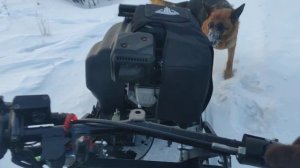 мотобуксировщик Тофалар 500