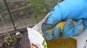 ПРОВЕРЕННОЕ СРЕДСТВО ОТ ПРОВОЛОЧНИКА!!!