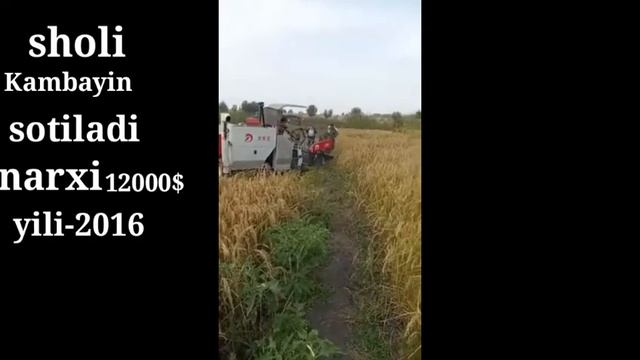 DON O'RUVCHI MINI KOMBAYN SOTILADI tel.916055037 смотреть онлайн