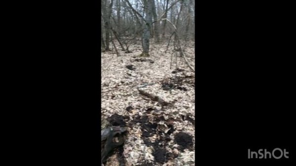 Коп в Волгоградской области! В поисках монет