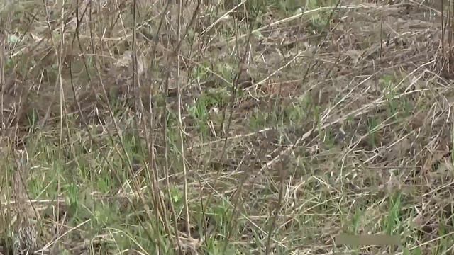 Хогвартс. Часть 3 смотреть онлайн