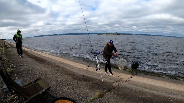 Карасі чуть не вкрали фідер🤯🤯🤯. Рибалка 🎣🎣🎣 на Київському морі #fishing #рибалка #риболовля смотреть онлайн