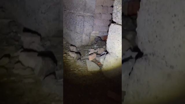 Где его теперь искать? #больница #интересное #лес смотреть онлайн