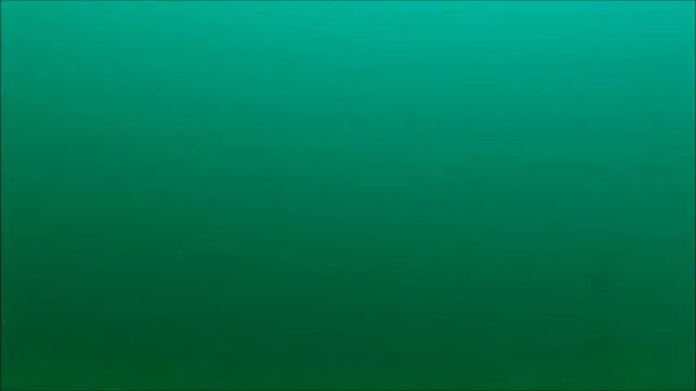 Любопытная пикша смотреть онлайн