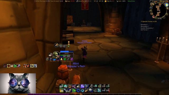 Level 44 Hardcore Era Hunter Solo Scarlet Monastery Armory смотреть онлайн