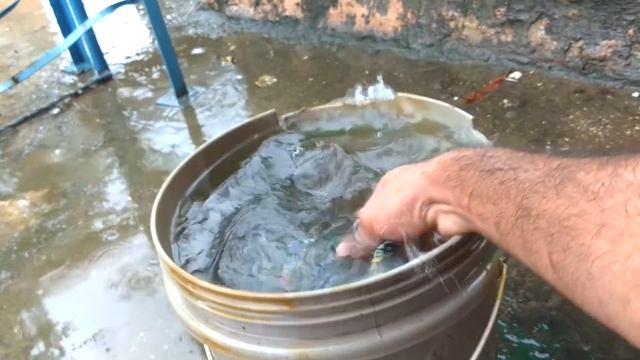 LG G6 vs Samsung S8 Water Resistant Test in Hindi: Phones Water Proof Test смотреть онлайн