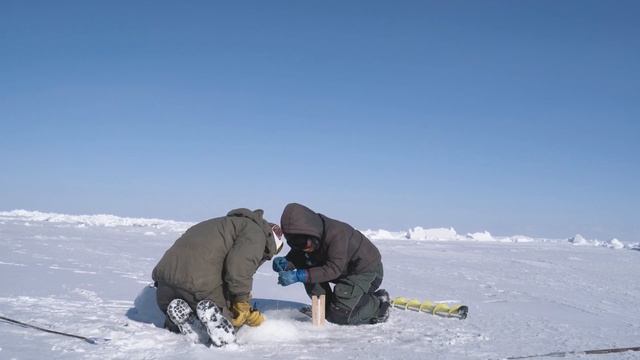 КОЛЮЧИЙ КРАБ | Крабалка в самом разгаре смотреть онлайн
