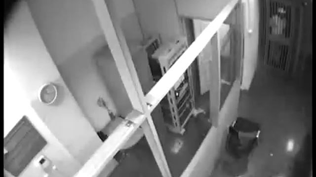 Хабаровск Милиционеры застрелили гастарбайтера из Узбекистана Видео с камеры наблюдения смотреть онлайн