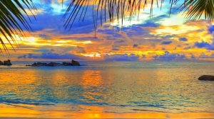 Шедевры инструментальной музыки!!! Дмитрий Метлицкий & Оркестр