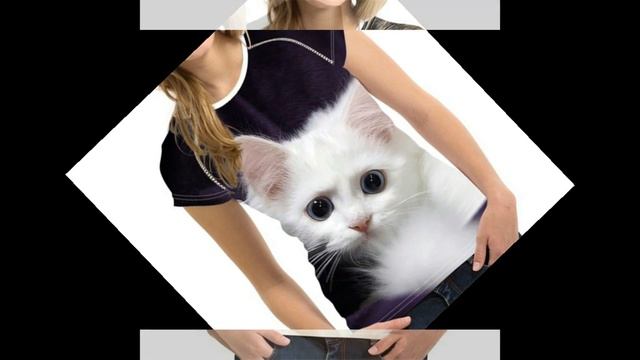 FORUDESIGNS черный 3D кошка животных женщины Повседневная Футболка смотреть онлайн