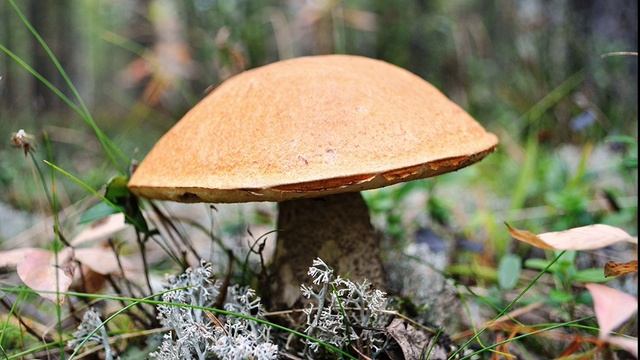 Восхождение на Б. Иремель. смотреть онлайн