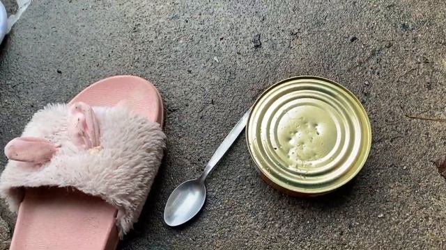 КАК ОТКРЫТЬ КОНСЕРВНУЮ БАНКУ ЛОЖКОЙ И ТАПКОМ - ЧЕЛЛЕНДЖ ОТ ПОДПИСЧИКОВ. смотреть онлайн